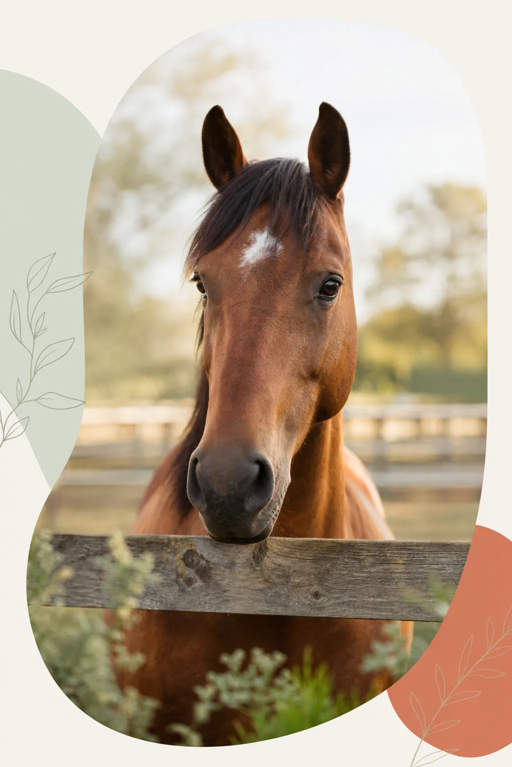 Pferd in einer ruhigen, natürlichen Umgebung